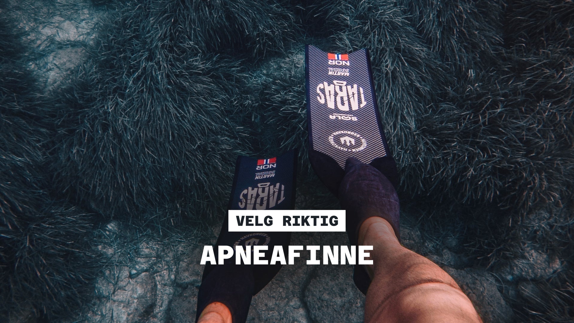 Velg riktig: Apneafinne