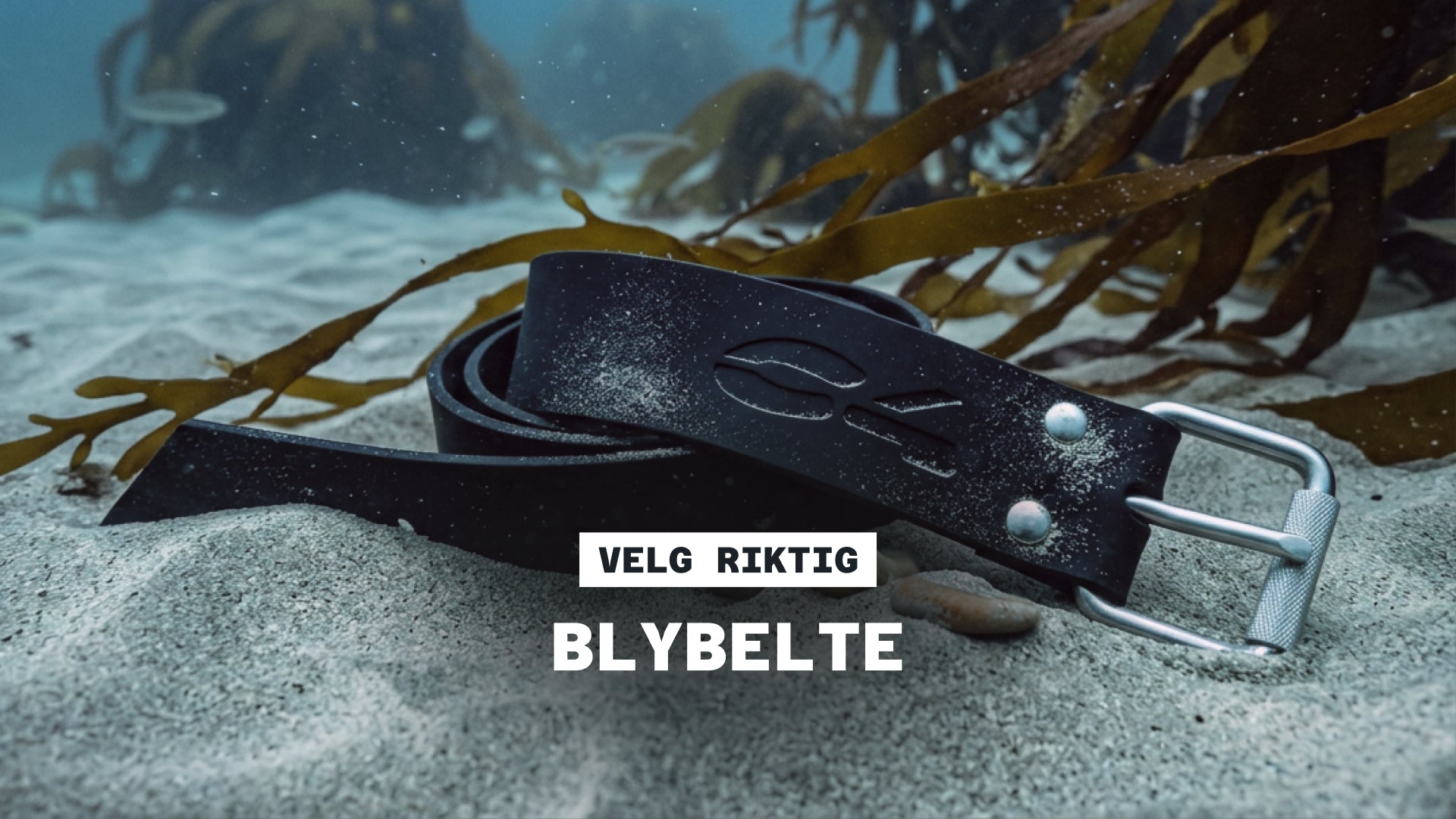Velg riktig: Blybelte