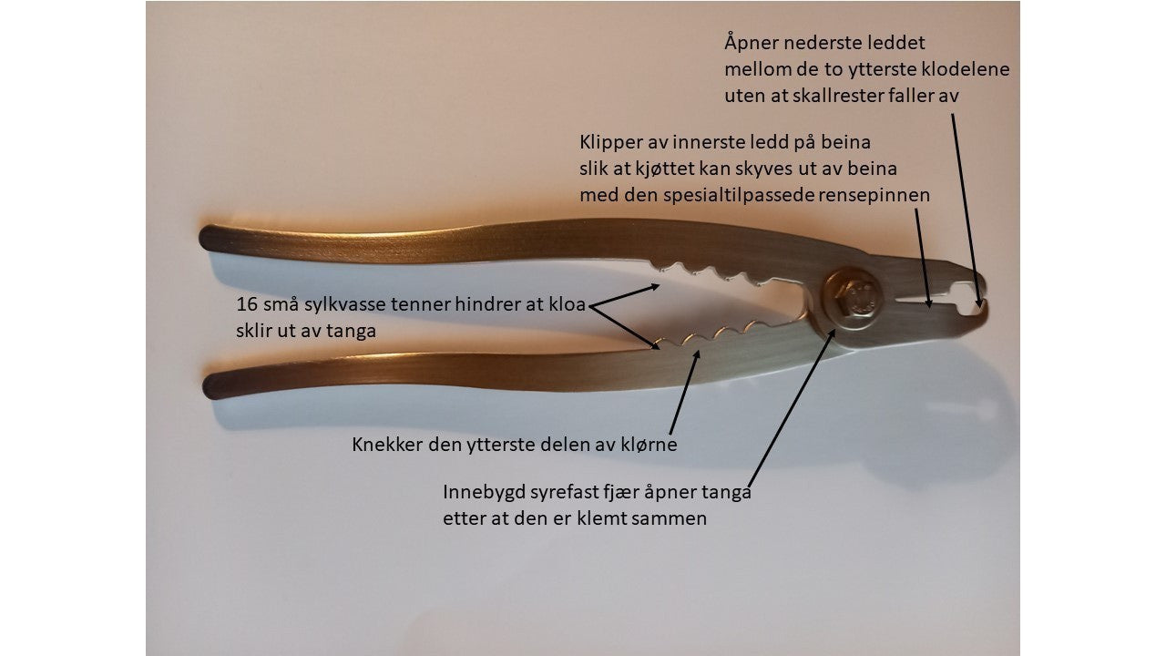 997_1221249488.jpg