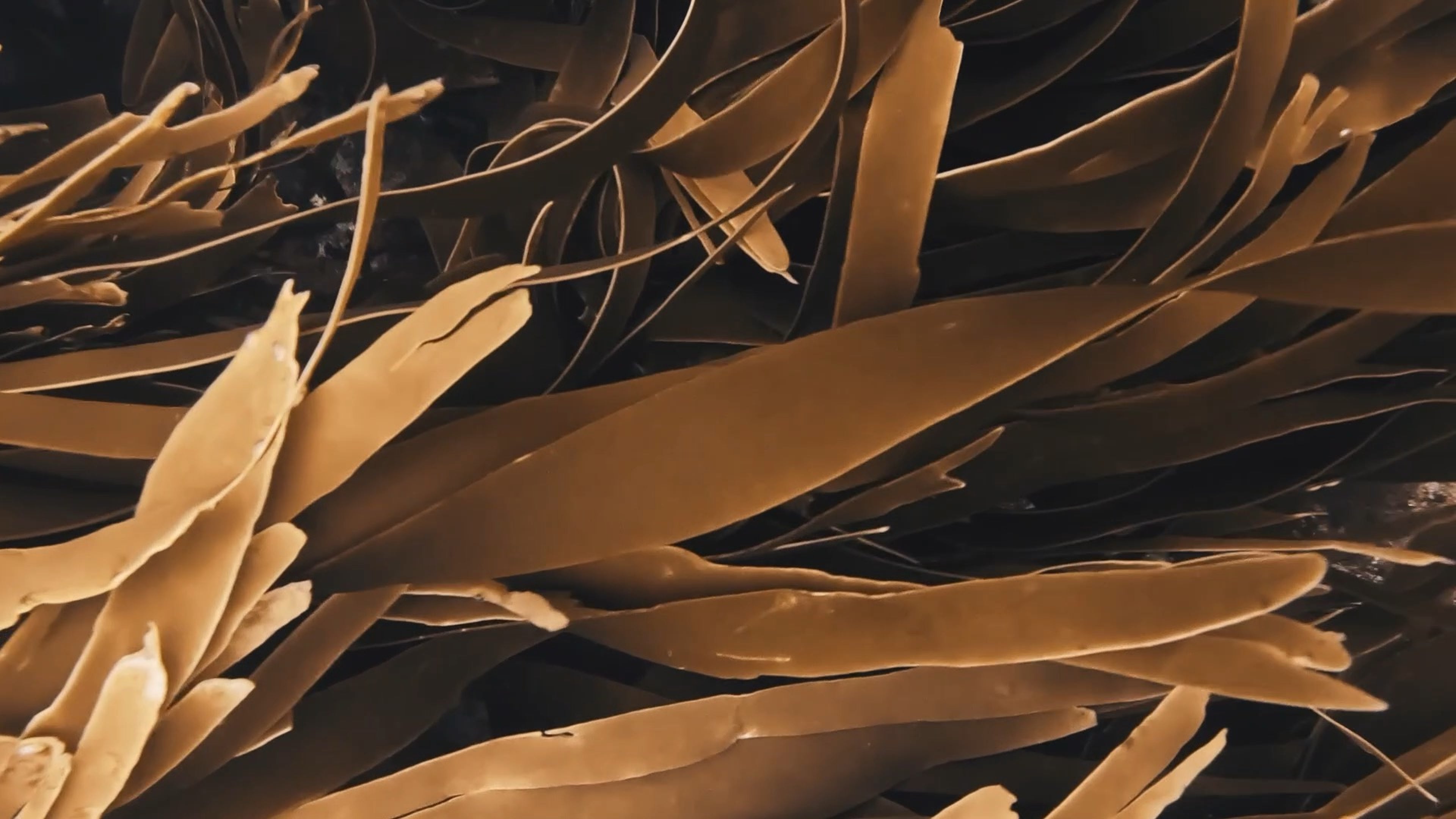 Slide_1_Desktop.jpg