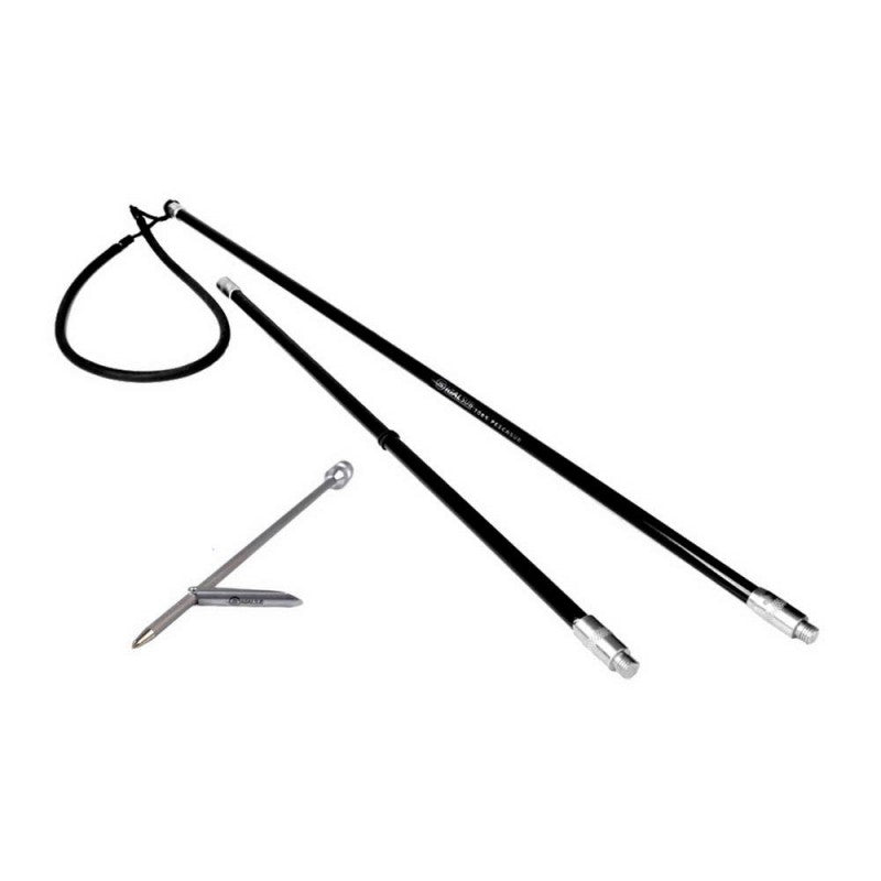 pole-spear-sigalsub.jpg